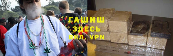сатива Инсар