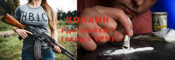 сатива Инсар