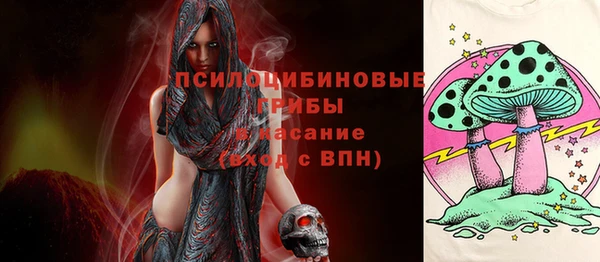 сатива Инсар