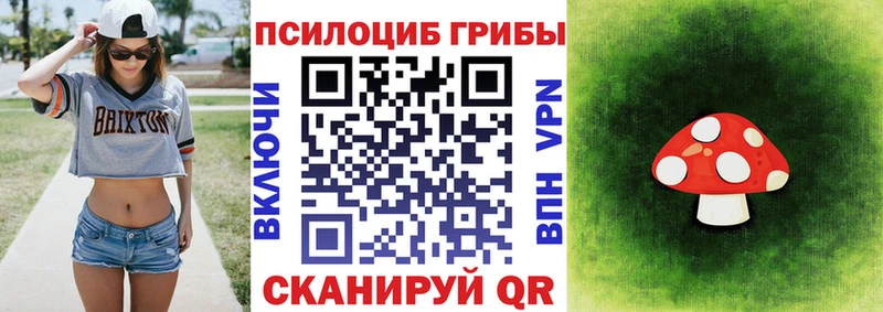 Псилоцибиновые грибы Psilocybe  продажа наркотиков  Калязин 